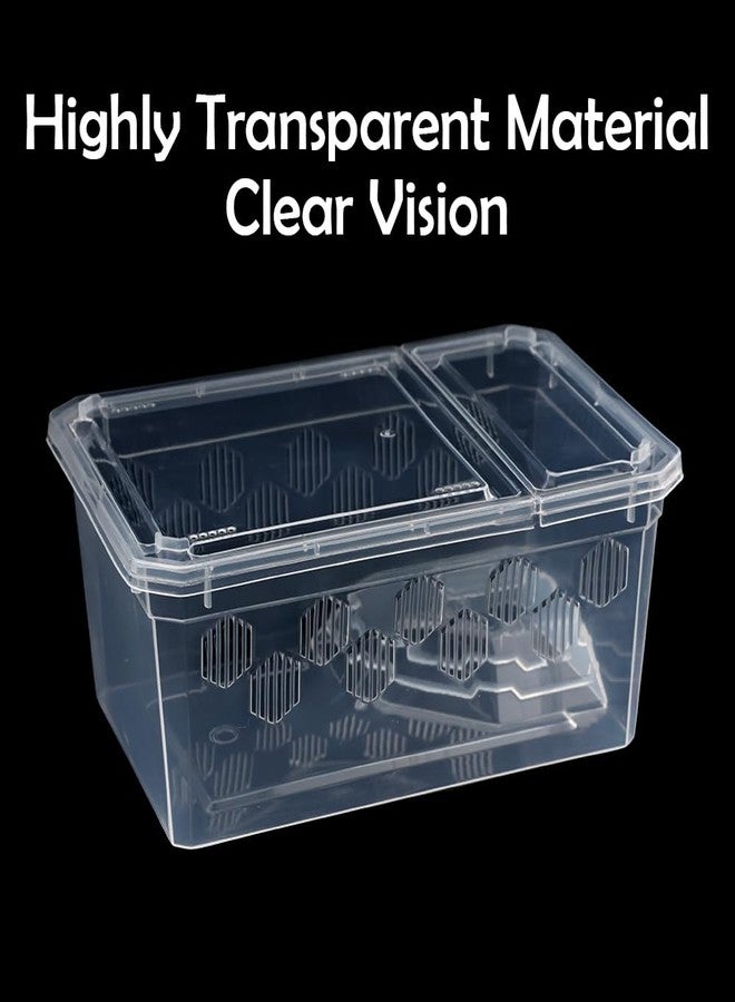 DQITJ 6 Pack Turtle Tank Breeding Box Horned Frog Plastic Portable Feeding Container for Small Reptile Amphibian Horned Frog Turtle Tortoise - Image 4